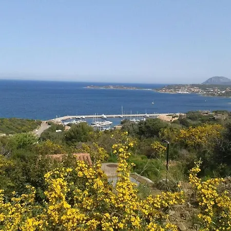 住宿加早餐酒店 Domus Corallia-luxury 4*