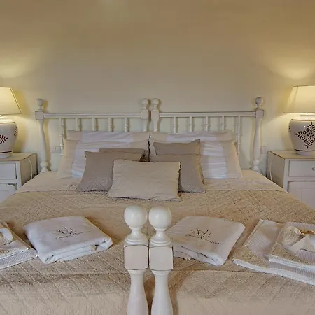 Domus Corallia-luxury