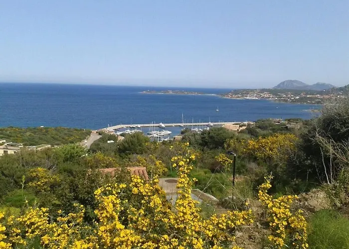 Panzió Domus Corallia-luxury 4*